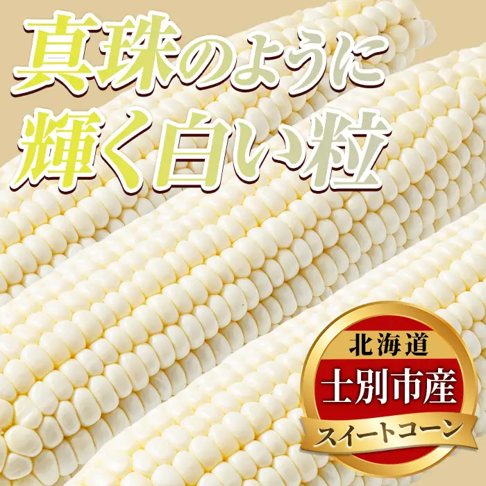 ＜期間限定＞天塩川源流スイートコーン ホイップコーン (10本)【2026年8月下旬より順次発送】北海道産 北海道 士別市 とうもろこし トウモロコシ とうきび コーン 野菜 産地直送 【三栄アグリ】【A7097】