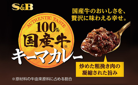 S&B 国産牛100% キーマカレー 12箱セット