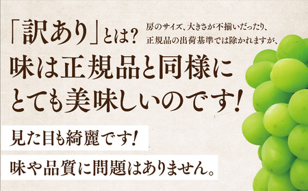 【先行受付】訳あり星乃シャインマスカット(岡山県産) 3～4房(1.8kg以上)【配送不可地域：離島・北海道・沖縄県】【1626442】