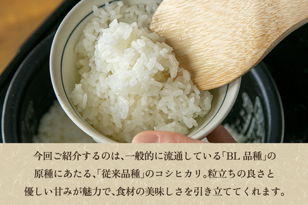 【令和8年産新米先行予約】新潟県産コシヒカリ 玄米2kg（2kg×1袋）（従来品種）《9月中旬から順次出荷》
