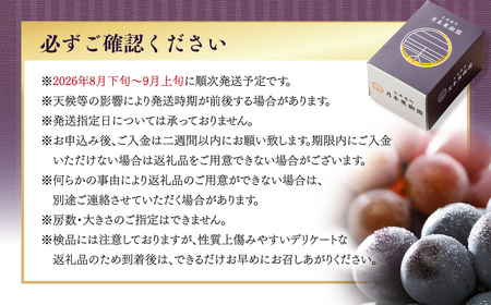 【種なし】 岡山県産 ニューピオーネ ・ クイーンニーナ MIX 1kg箱（各1房ずつ） 【2026年8月下旬-9月上旬発送予定】／ ぶどう ブドウ 葡萄 大粒 種なし 種無し フルーツ 果物 くだもの 果実 セット 特別セット