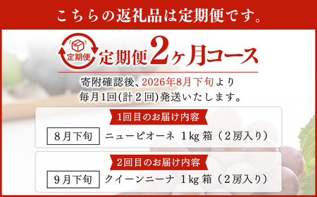 【定期便2回】 ［種なし］ 岡山県産 ニューピオーネ ・ クイーンニーナ 1kg箱（2房入り）【2026年8月下旬発送開始】 ／ ぶどう ブドウ 葡萄 大粒 種なし 種無し フルーツ 果物 くだもの 果実
