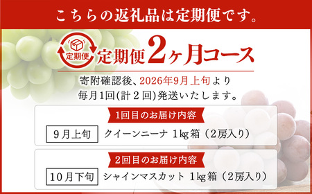 【定期便2回】 ［種なし］ 岡山県産 クイーンニーナ ・ シャインマスカット 1kg箱（2房入り）【2026年9月上旬発送開始】 ／ ぶどう ブドウ 葡萄 大粒 種なし 種無し フルーツ 果物 くだもの 果実