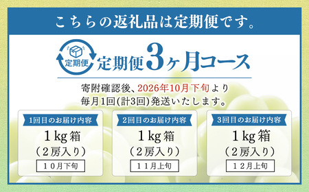 【定期便3回】 ［種なし］ 岡山県産 シャインマスカット 1kg箱（2房入り） 【2026年10月下旬発送開始】 ／ ぶどう ブドウ 葡萄 大粒 種なし 種無し フルーツ 果物 くだもの 果実