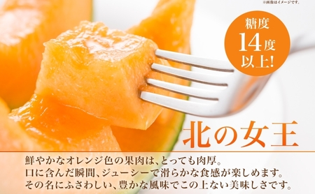 【2026年夏発送】北海道 赤肉メロン 北の女王 秀品 約1.6kg×2玉 計約3.2kg 令和8年 メロン 果物 フルーツ 旬 季節 希少 貴重 甘い 豊潤 国産 デザート ご褒美 産地直送 ギフト お祝い 贈答品 贈り物 常温 お取寄 送料無料 