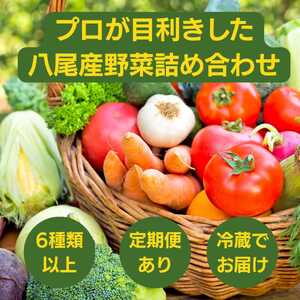 C218【定期便】季節の厳選野菜詰め合わせセット(お届け回数:2回)【やさい セット 詰合せ 6種類 11品 野菜セット 季節のやさい 八尾産 大阪 八尾市】