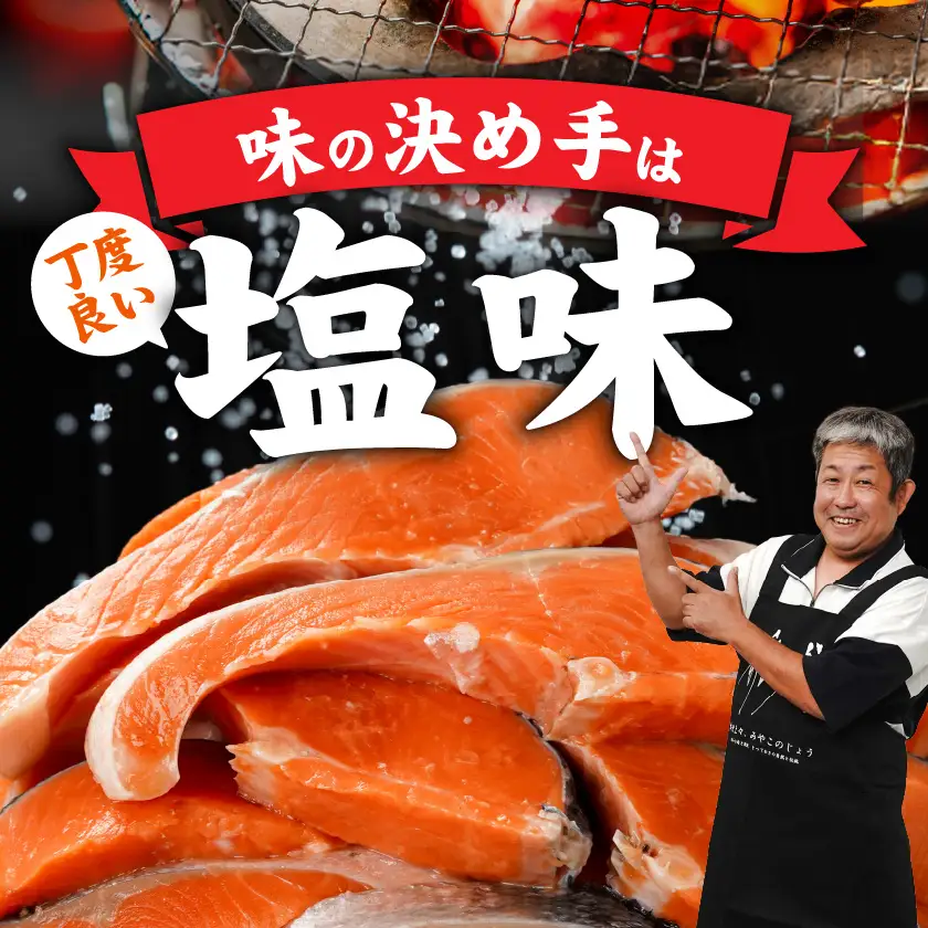銀鮭1kg(500g×2P)〔11-8402〕_(都城市) トレーパック 1Pあたり4～6切れ カット済 調味加工 切身 鮭 さけ 朝食 お弁当 おかず