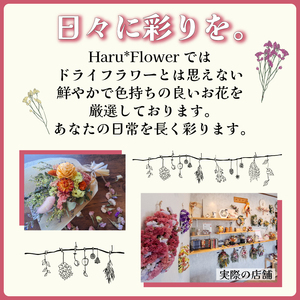ドライフラワー花束 Mサイズ ピンク系 LN008