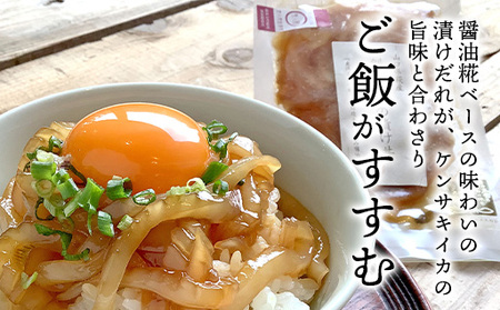醤油糀のタレに漬けた剣先イカ専門店の「剣先イカの漬け丼」【解凍・のせるだけ】個食６パック
