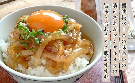 イカ 剣先イカ専門店こだわりの「いか焼き」&「漬け丼」。木桶仕込み醤油と糀で漬けた上質な味わい。各6個 セット おつまみ