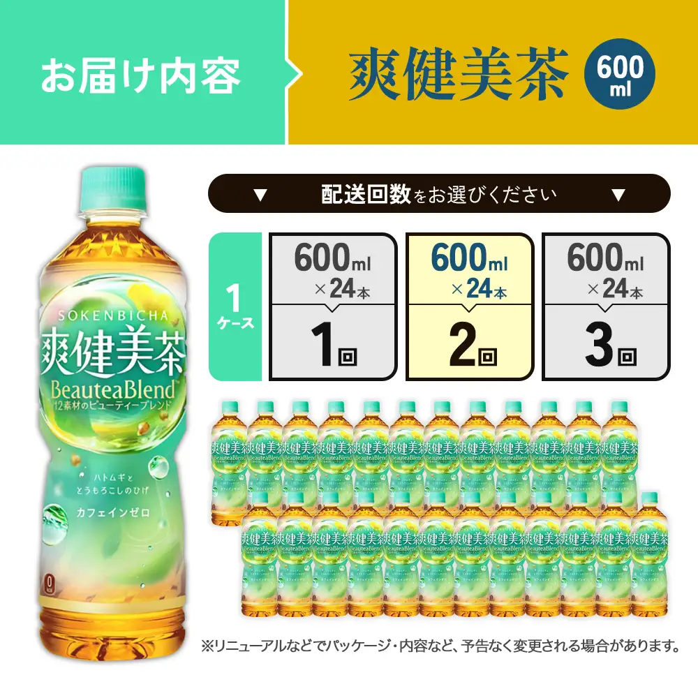 （2回定期便）爽健美茶 600ml PET【コカ・コーラ】ペットボトル 1ケース(24本) 定期便 2回(48本) セット お茶 カフェインゼロ ノンカフェイン ハトムギ ブレンド茶 宮崎県 えびの市 送料無料