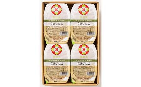 【城北麵工】山形県産 雪若丸 玄米ごはん パックご飯 12個セット F2Y-6259