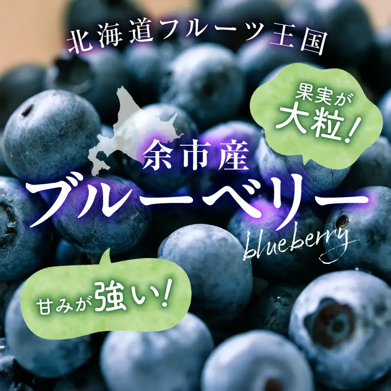 【先行予約：2026年8月上旬以降発送】フルーツ王国余市産 生ブルーベリー 1Kg【ニトリ観光果樹園】_Y074-0160