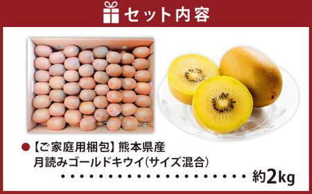 （ご家庭用梱包）にしだ果樹園の熊本県産月読みゴールドキウイ サイズ混合 約2kg 【2026年11月上旬発送開始】 キウイ フルーツ