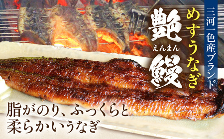 愛知県三河一色産 めすうなぎ「艶鰻」うなぎ蒲焼き （計2尾400ｇ以上）・U048