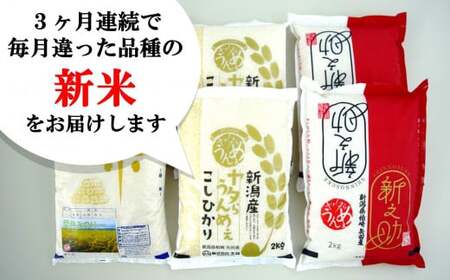 【先行予約・令和8年産新米定期便・8月下旬～発送】新潟米 3種食べ比べ 白米 4kg×3回（計 12kg）葉月みのり・コシヒカリ・新之助 水田環境鑑定士在籍[Y0196]
