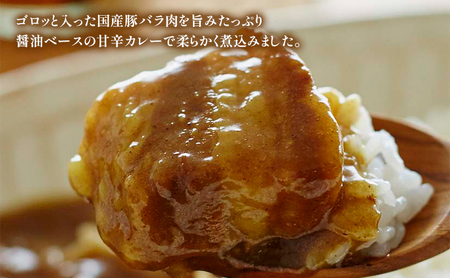 【 定期便 2回 】カレー 豚の角煮カレー 10個 セット ニシキヤ キッチン レトルト
