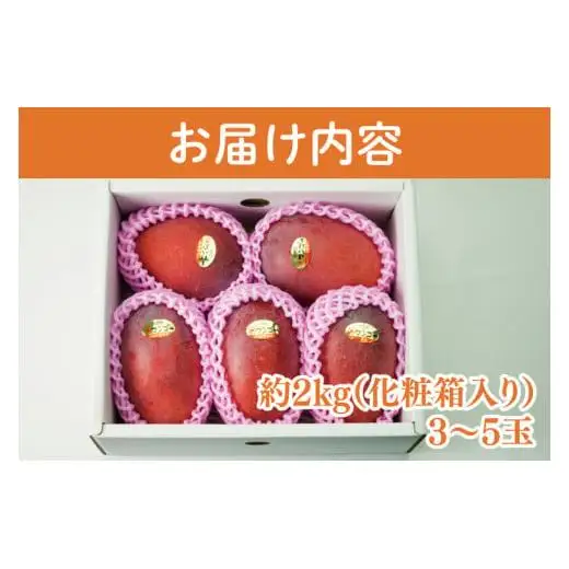 【訳あり】菜々色畑のアーウィンマンゴー 3～5玉(約2kg)【白箱】 ご家庭用
