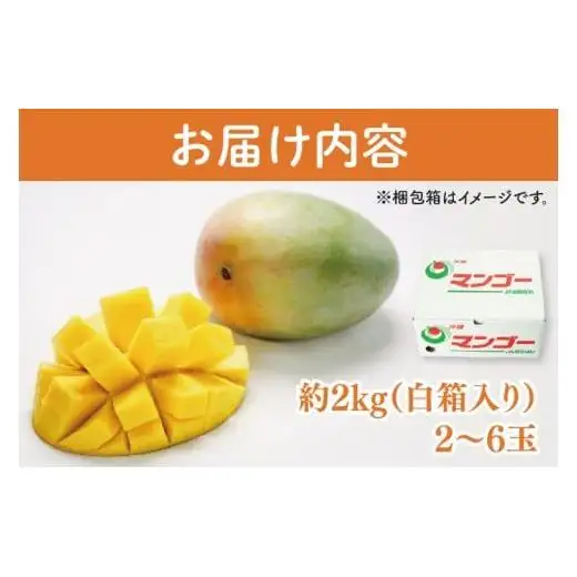 【訳あり】菜々色畑のキーツマンゴー 2～6玉(約2kg)【白箱】ご家庭用