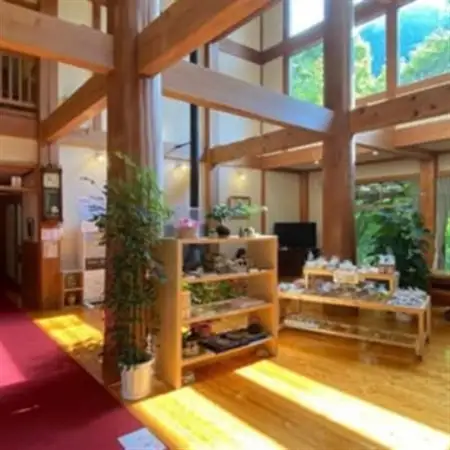 山梨県南部町秘湯「奥山温泉」日帰り入浴券(1名様分)【6枚】【1619545】