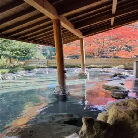 山梨県南部町秘湯「奥山温泉」日帰り入浴券(1名様分)【7枚】【1619547】