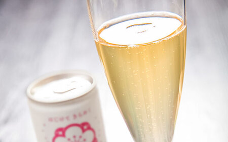 スパークリング梅酒 1ケース(250ml×30本入り) / 梅酒 本格梅酒 梅  / 日田市 / 株式会社おおやま夢工房[ARCW012]