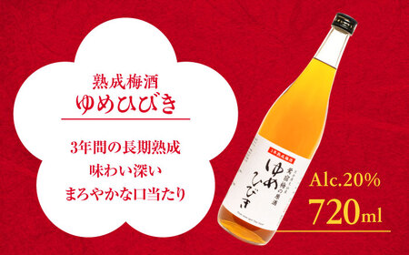 梅酒蔵おおやま 梅酒セット 各720ml / 酒 梅  / 日田市 / 株式会社おおやま夢工房[ARCW013]