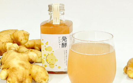 【お中元対象】ピリっと生姜にスパイスの甘い香り！身体にも心にも優しい発酵ジンジャーシロップ発酵ジンジャー（４本セット）  スパイス 炭酸 シロップ[ARDA012]