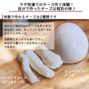 さーちゃんミニヤギ牧場 チーズ作り体験チケット 3人分