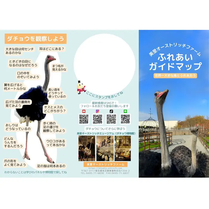 牧場ふれあい体験＋博物館入館セット【お土産付き】  [No.210]