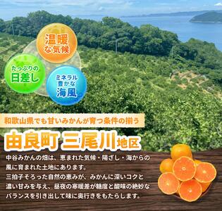 温州みかん 2kg 2S～2Lサイズ混合 11月発送 ※2026年11月中旬頃～11月下旬頃に順次発送予定【nktn004-r-2-nov】
