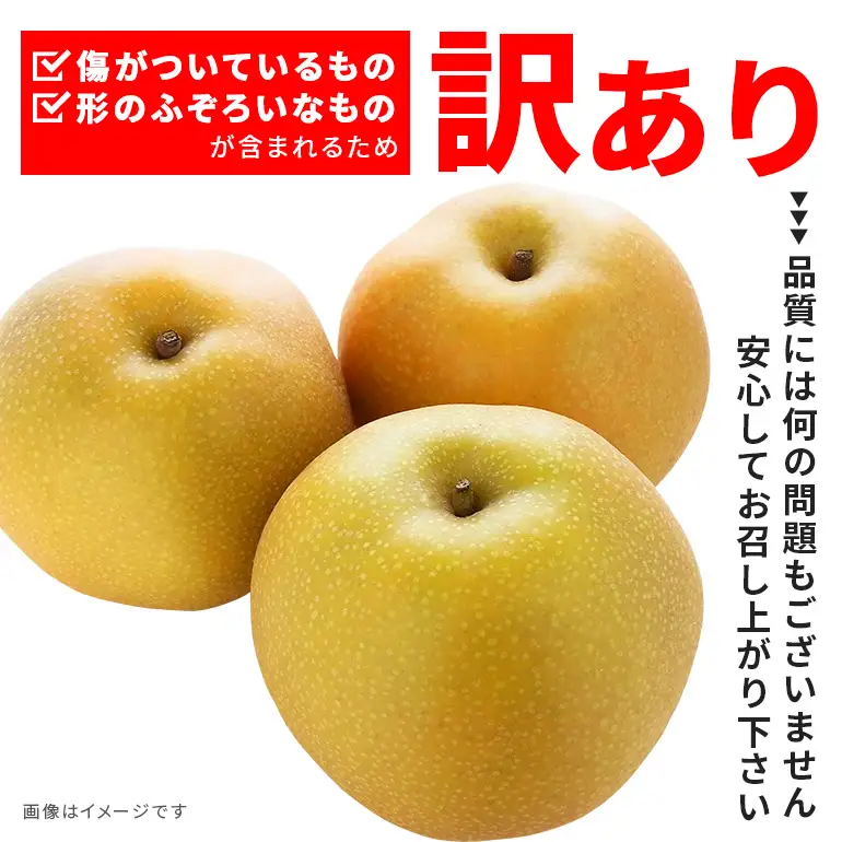 訳あり 柴沼梨園の梨 （ 幸水 ） 梨 5kg 訳あり品 10～18個入り 先行予約 【8月中旬～8月下旬発送】 BX-001