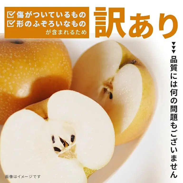 訳あり 柴沼梨園の梨 （ 豊水 ） 梨 5kg 10～16個入り 先行予約 【 9月上旬～9月下旬発送 】 BX-002