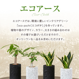 S060-117_エコ・アースでご利用可能なお買い物券　6,000円分