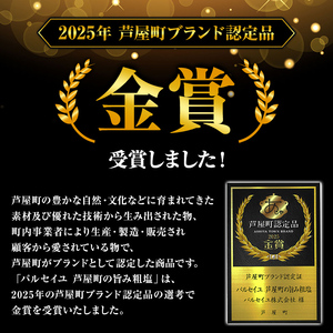 芦屋町の旨み粗塩 (100g) 塩 海水 福岡県 芦屋町 ソルト 低温乾燥製法 チャック付きしお あら塩 【パルセイユ】as04-027