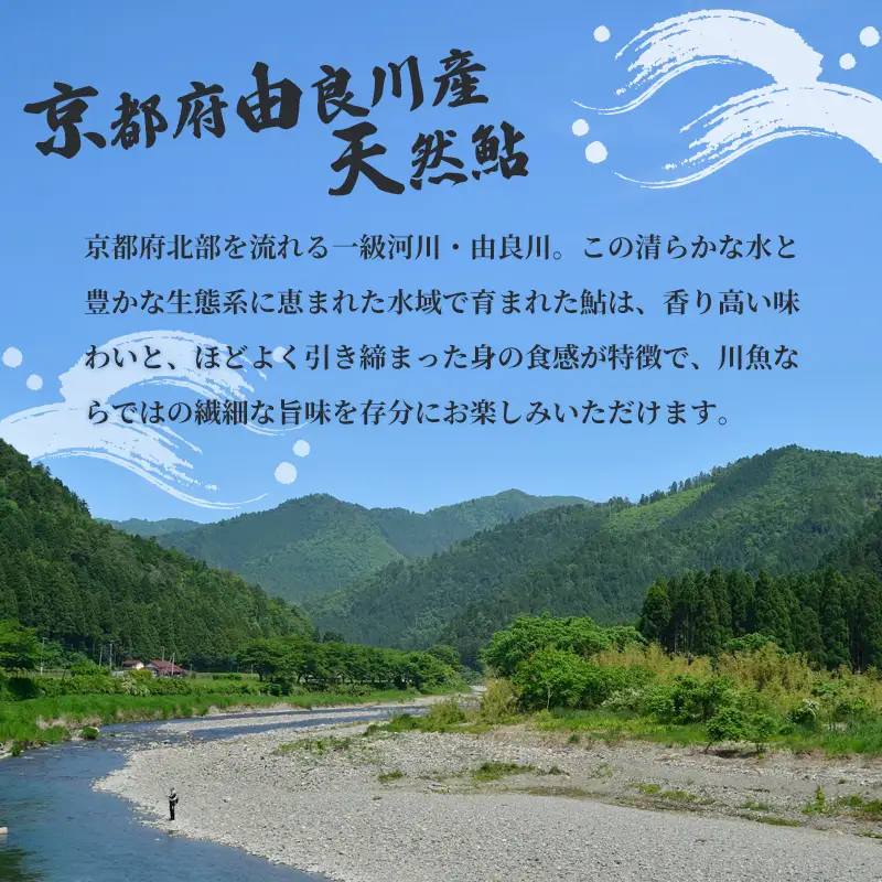 【2026年夏発送】天然鮎 竿釣り 5匹 （17～23cm） 配送不可：北海道、東北、九州、沖縄、離島