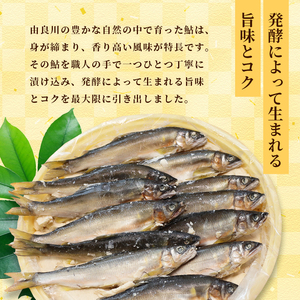 天然鮎の粕漬け 12匹 あゆ 鮎 粕漬け