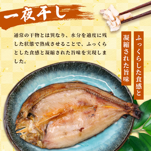 天然鮎の甘露煮と一夜干しのセット 各1パック あゆ 鮎 甘露煮 一夜干し