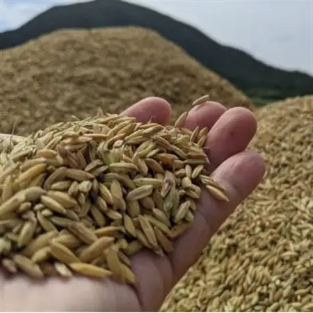 泡盛 てるしの島 25度 720ml【1627774】