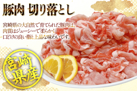 豚肉 小分け 宮崎県産豚肉 切り落とし 250g 14袋 計3.5kg セット [TRINITY 宮崎県 日向市 452061332]