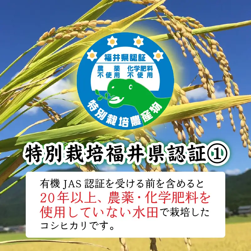先行予約【令和8年産 】 有機JAS認証 オーガニックコシヒカリ 白米 5kg