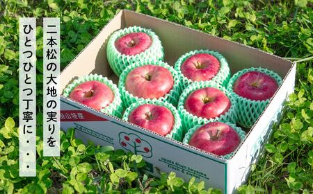 りんご 【3ヶ月定期便】品種おまかせ！羽山のりんご5kg×3回 りんご リンゴ 果物 フルーツ【斎藤りんご園】