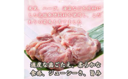 小分けで便利!いろいろな料理に大活躍　佐賀県ブランド鶏ありたどりもも肉合計1.2kg300g×4P 188-L052