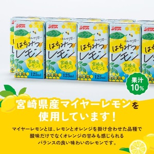 サンA はちみつレモン 125ml 紙パック 24本入り×2ケース 【 飲料 ジュース はちみつ レモン れもん マイヤーレモン 九州産 紙パック 送料無料 】