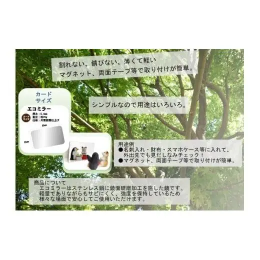 Eco Mirror さきちゃん