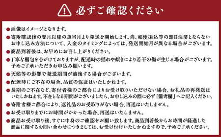 【年4回定期便】くまもとの海の幸 定期便 ／ 4回 ぶり 鯛 太刀魚 くるまえび 魚 海老 海の幸 海産物 海鮮 切身 スライス 料理 グルメ 旬 熊本県 冷凍