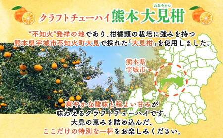 「寶CRAFT」熊本 大見柑 チューハイ 330ml 12本 宝酒造 寶酒造 