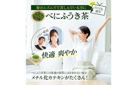 静岡 かやまえん お茶 粉末 「べにふうき茶 粉末茶 1g×260包」 ｜お茶 茶 緑茶 べにふうき 小分け スティック 粉茶 粉末緑茶 静岡 静岡茶 スティック 個包装 当店はたっぷり1g メチル化カテキン 紅富貴 紅ふうき