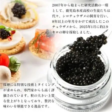 【数量限定】薩摩黒キャビア黒珠玉 鹿児島水産高校 枕崎キャビア【木箱入り】【20g×2箱】 F5-3【配送不可地域：離島】【1614944】