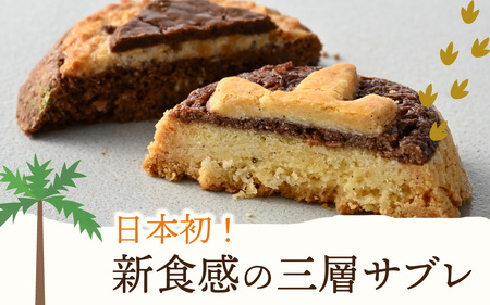 選べる恐竜スイーツ　トリケラセット　冷凍 瓶詰 プリン サブレ缶 おもちゃ 恐竜博物館 ティラノサウルス トリケラトプス スピノサウルス モササウルス 食玩 玩具菓子 きょうりゅう 男の子 プレゼント スイーツ デザート おやつ 洋菓子 永平寺町 送料無料 ダイナソー お土産 お菓子 洋菓子 ギフト　C-026004＿01